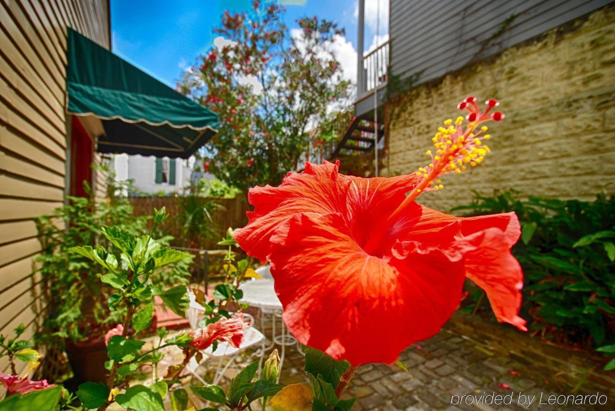 Lamothe House Hotel A French Quarter Guest Houses Property New Orleans Exterior foto